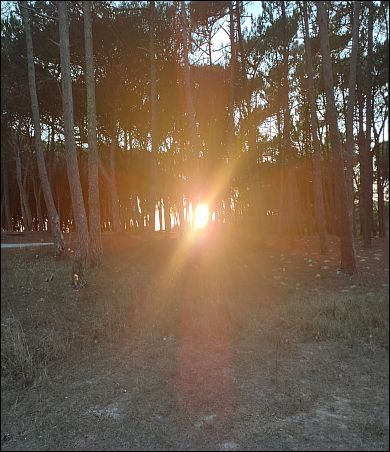 Celebrar o Solst�cio de Inverno